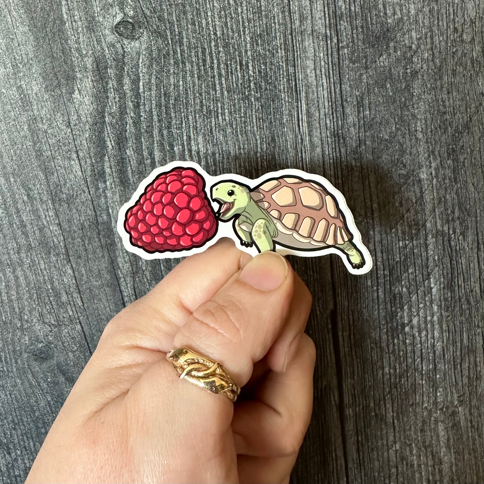Tortoise Eating a Raspberry Sticker - The Serpentry