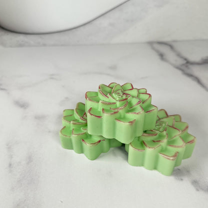 Succulent Soap Bar